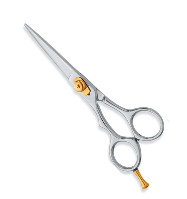 Professional Hair Cutting Scissors