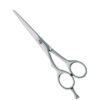 Professional Hair Cutting Scissors