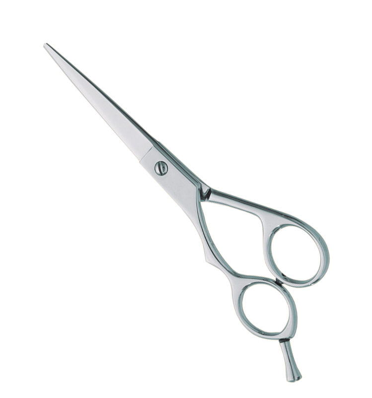 Professional Hair Cutting Scissors